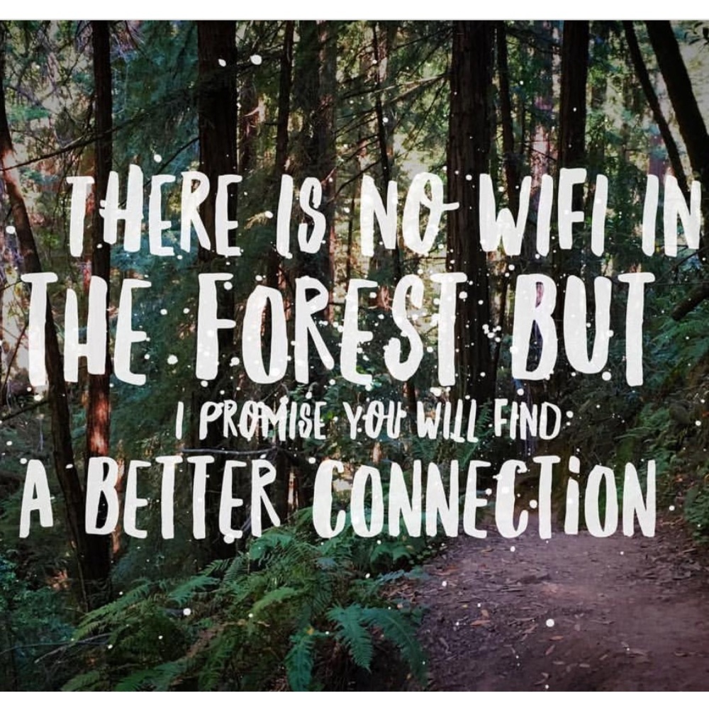 Meet your Posher, Dee